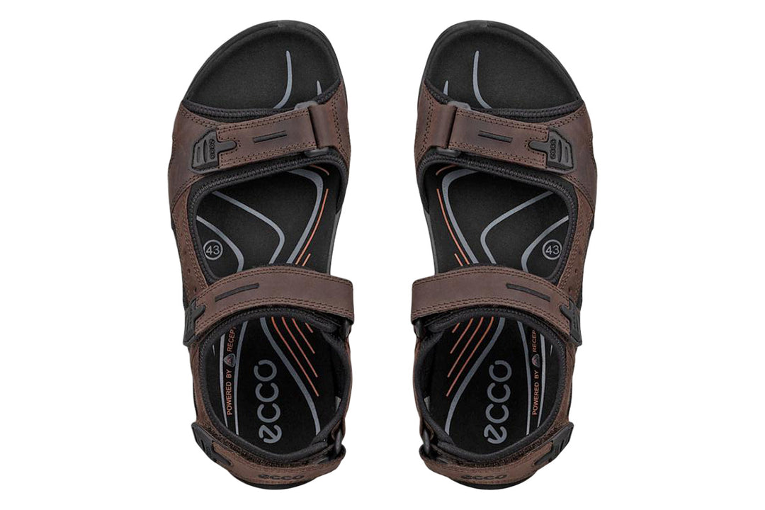 Ecco Offroad Mocha/Mocha Mens #color_brown-dark-brown