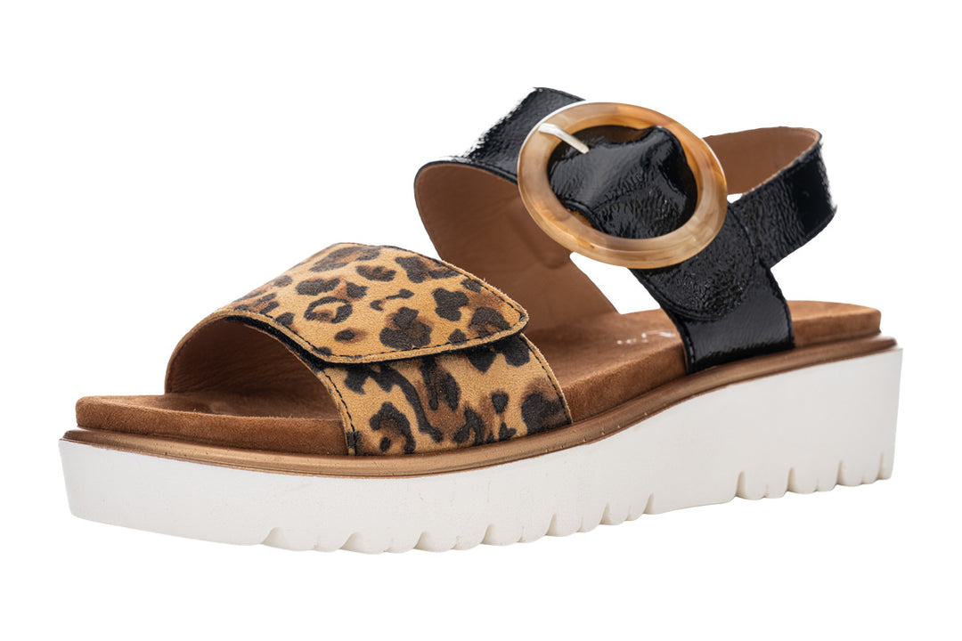Ara Bilbao 12-33505 Black Patent/Leopard Combo Womens #color_prints-animal