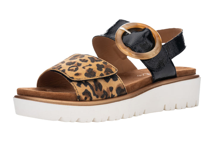Ara Bilbao 12-33505 Black Patent/Leopard Combo Womens #color_prints-animal