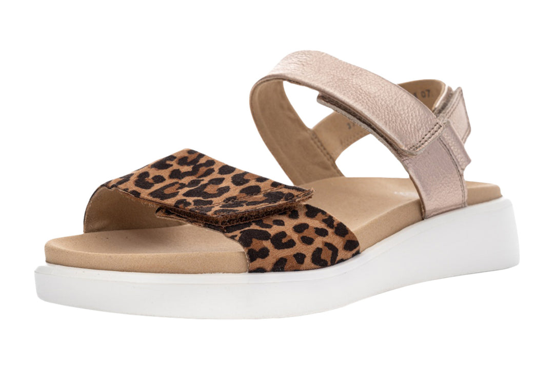 Ara Madeira 12-21401 Leopard/Rose Womens #color_prints-animal